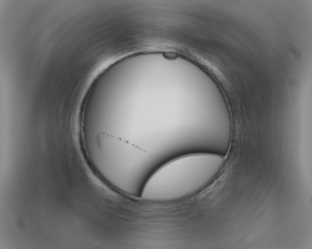 X0000113301471200909140935