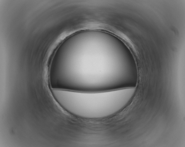 X0000113301472200909140935