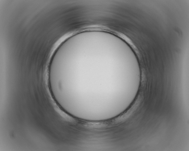 X0000113301474200909140935
