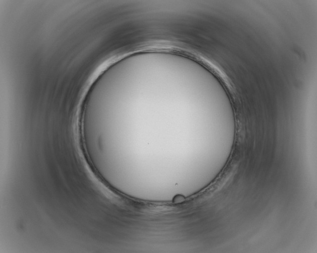 X0000113301475200909140935