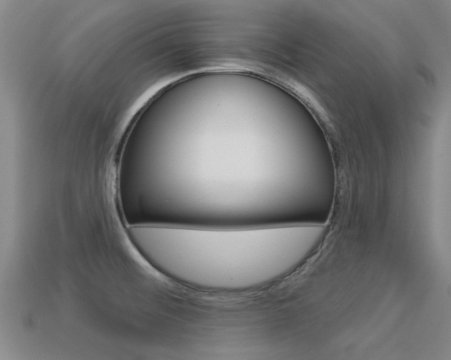 X0000113301476200909140935