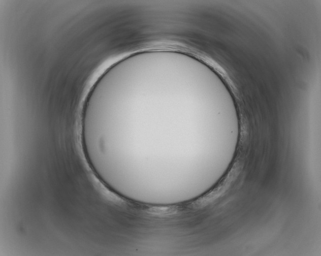 X0000113301478200909140935