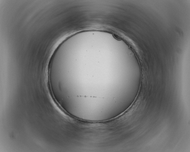X0000113301479200909140935