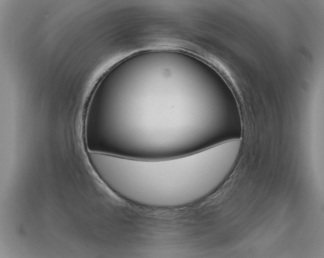 X0000113301480200909140935