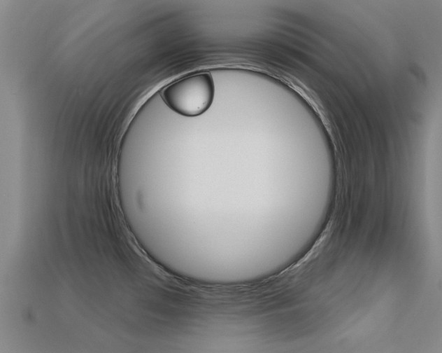 X0000113301481200909140935