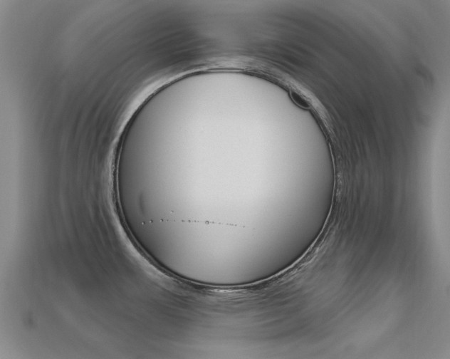 X0000113301483200909140935