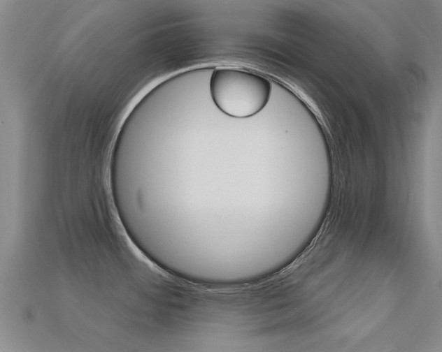 X0000113301484200909140935