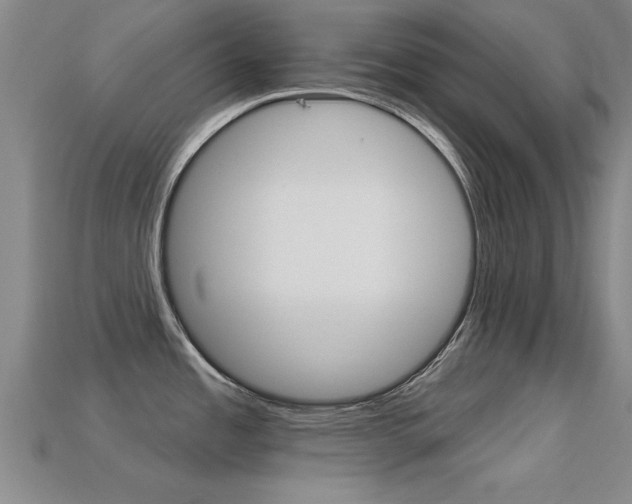 X0000113301485200909140935