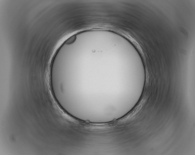 X0000113301486200909140935