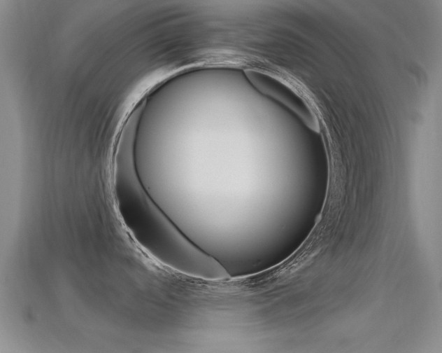 X0000113301488200909140935