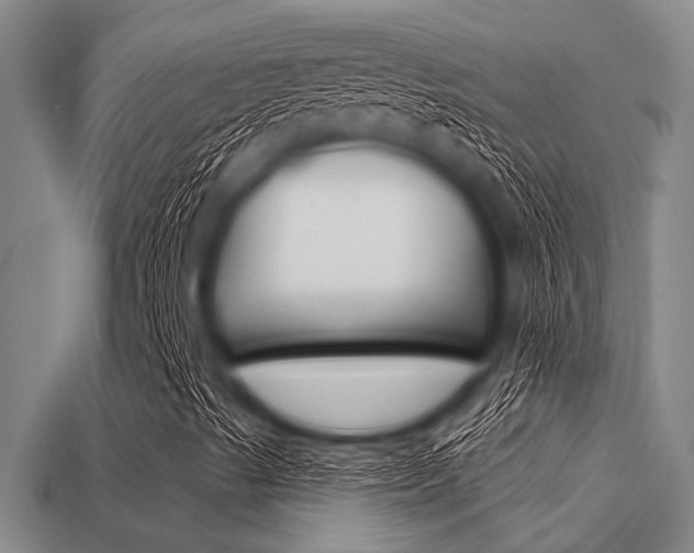 X0000113301489200909140934