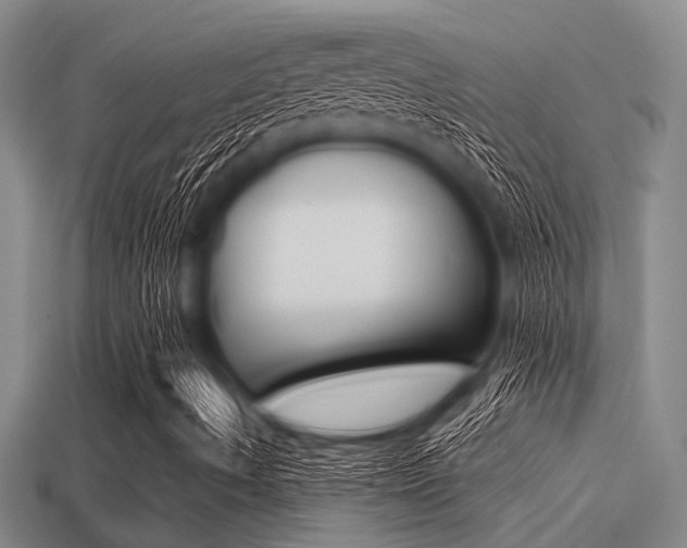 X0000113301490200909140934