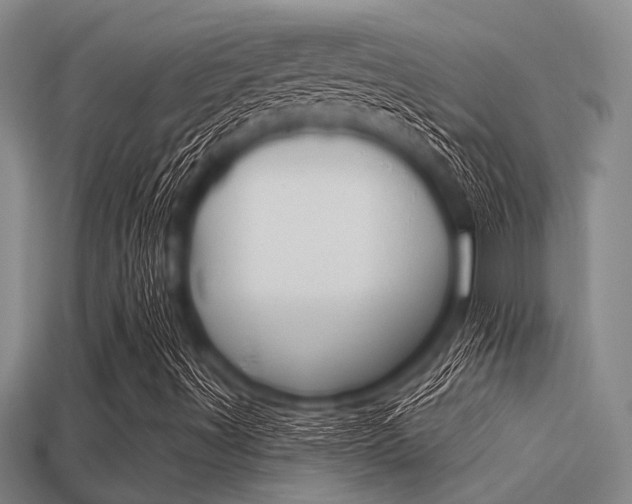 X0000113301491200909140934