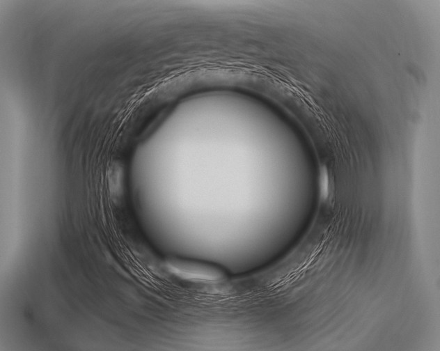 X0000113301492200909140934