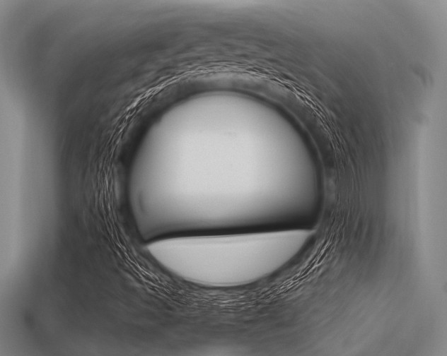 X0000113301493200909140934