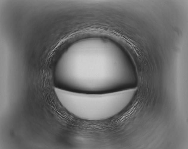 X0000113301494200909140934