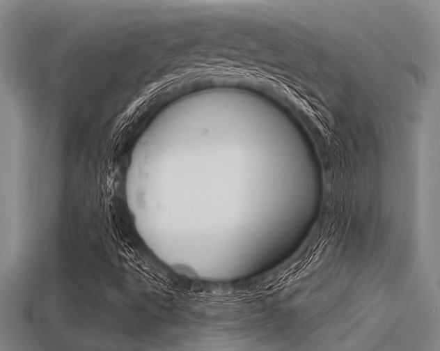 X0000113301495200909140934