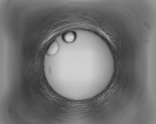 X0000113301496200909140934
