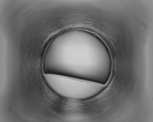 X0000113301497200909140934