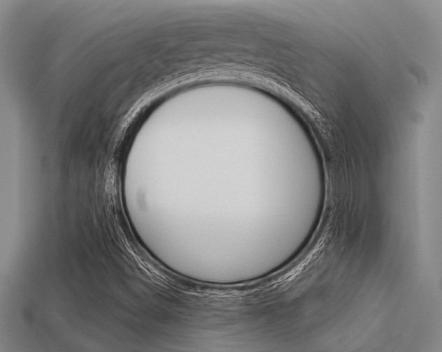 X0000113301498200909140934