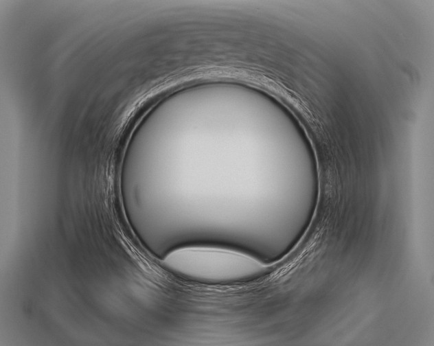 X0000113301499200909140934