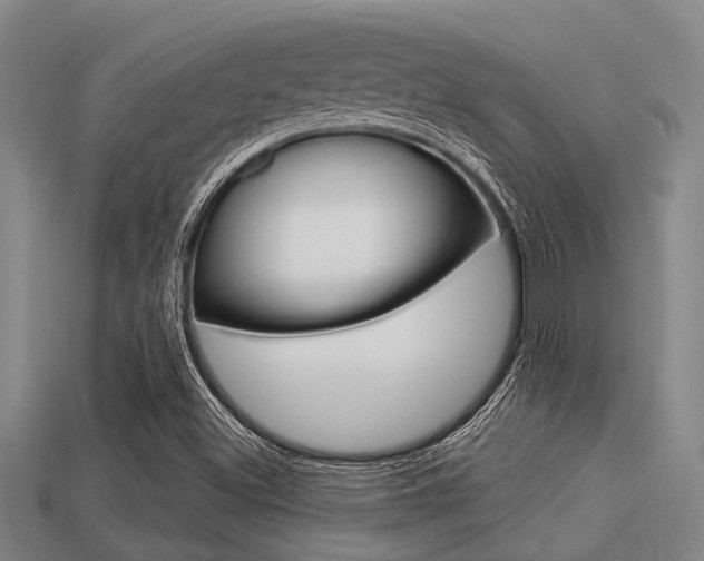 X0000113301500200909140934