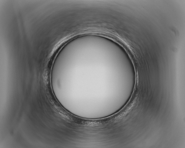 X0000113301501200909140934