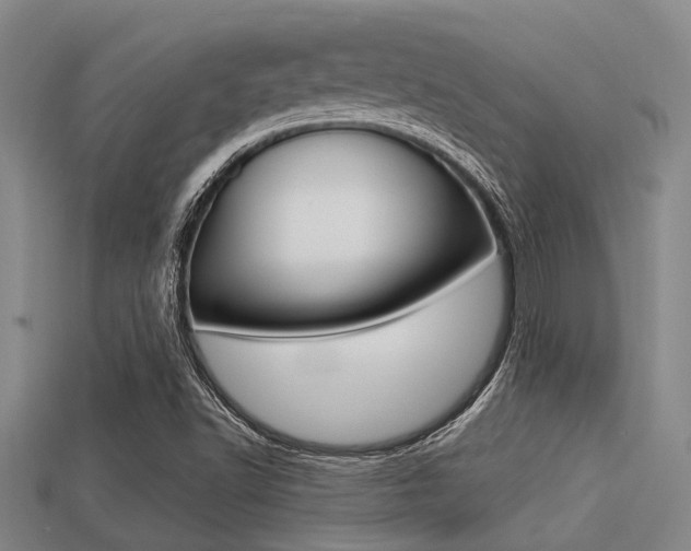 X0000113301502200909140934