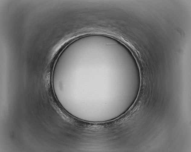 X0000113301503200909140934