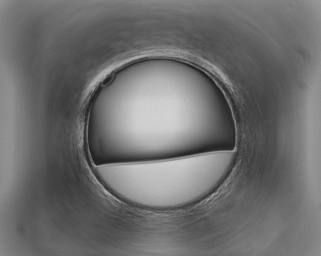 X0000113301504200909140934