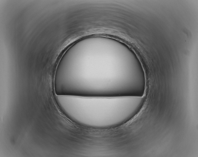 X0000113301505200909140934