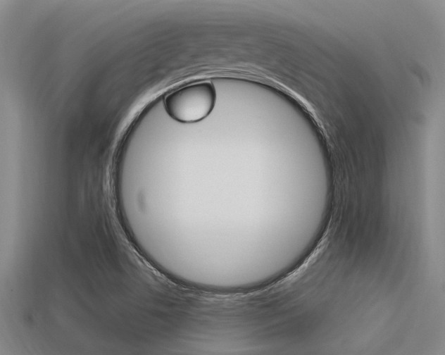 X0000113301506200909140934