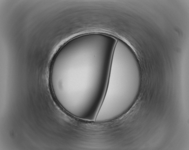 X0000113301508200909140934