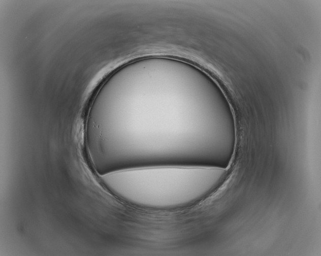 X0000113301509200909140934