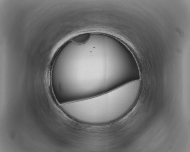 X0000113301510200909140934