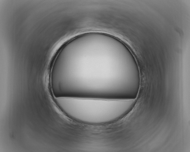 X0000113301511200909140934