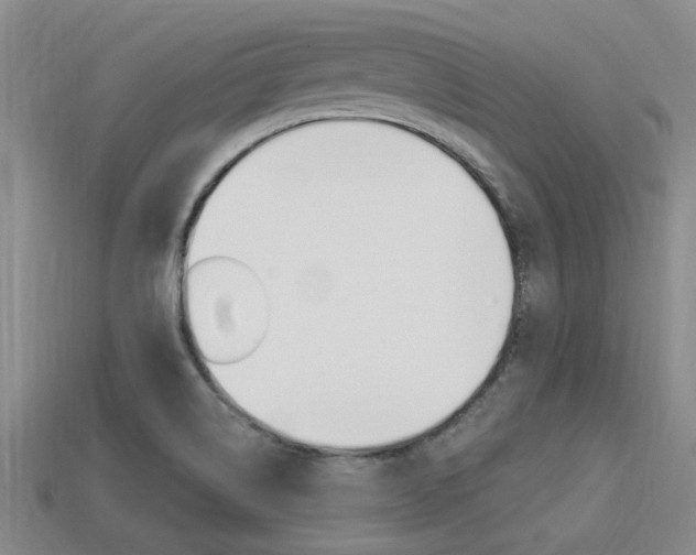 X0000113301514200909140935