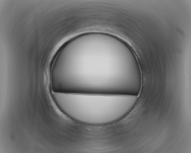 X0000113301515200909140935