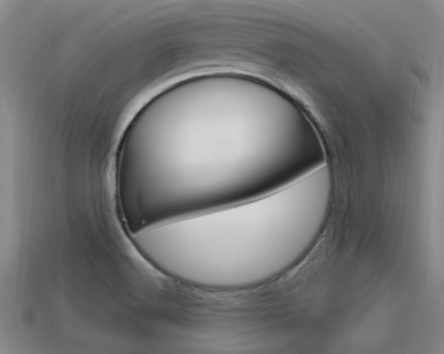 X0000113301516200909140935