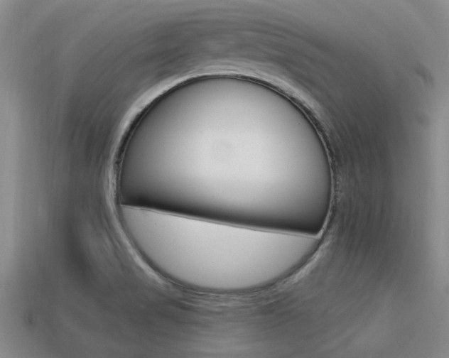 X0000113301517200909140935