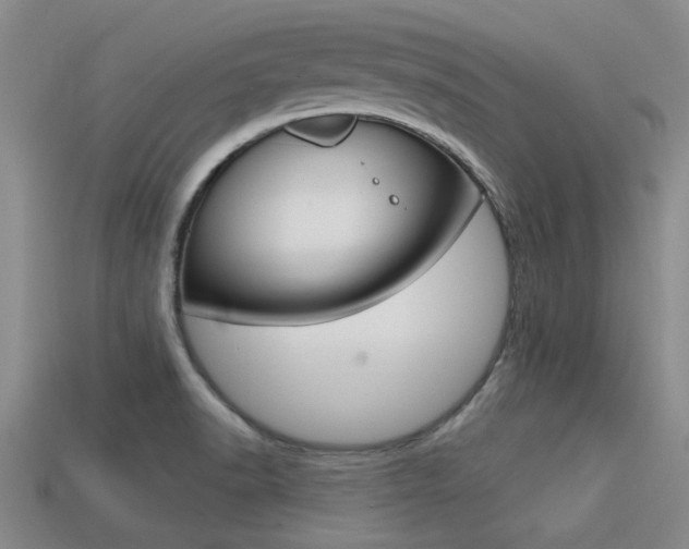 X0000113301518200909140935