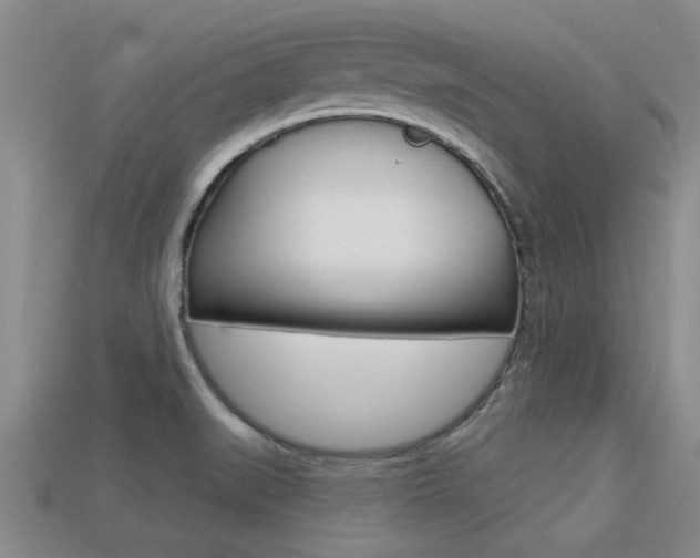 X0000113301519200909140935