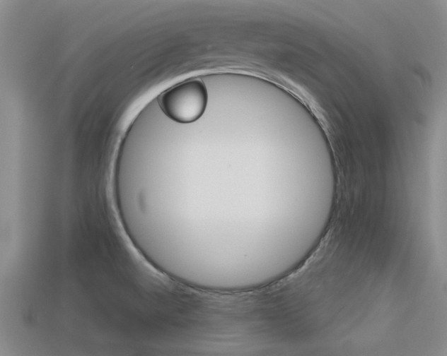 X0000113301520200909140935
