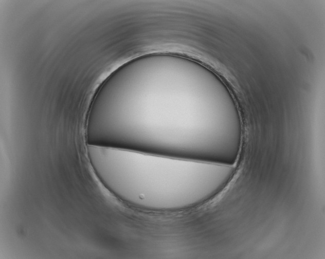 X0000113301521200909140935