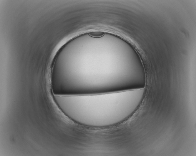 X0000113301522200909140935