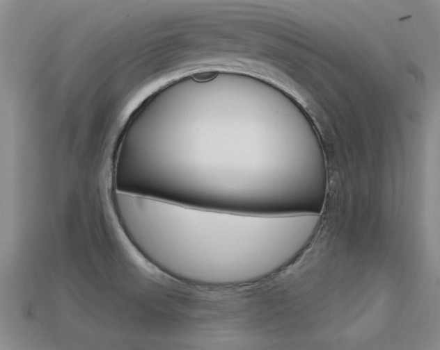 X0000113301523200909140935