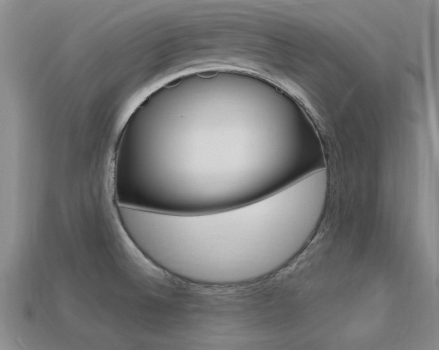 X0000113301524200909140935