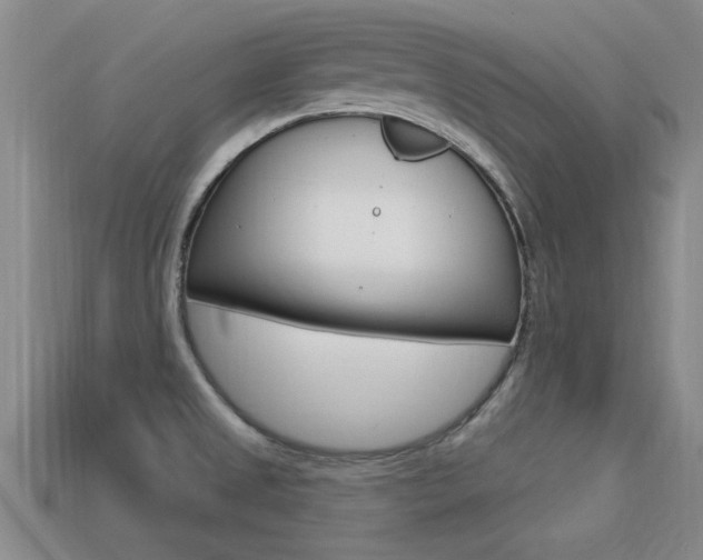X0000113301525200909140935