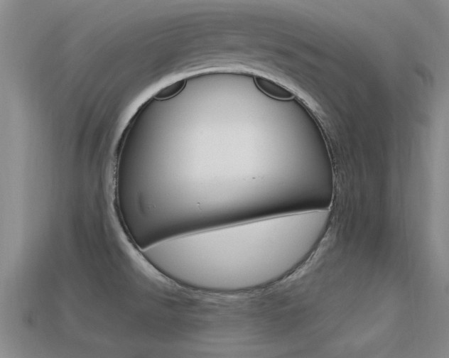 X0000113301526200909140935