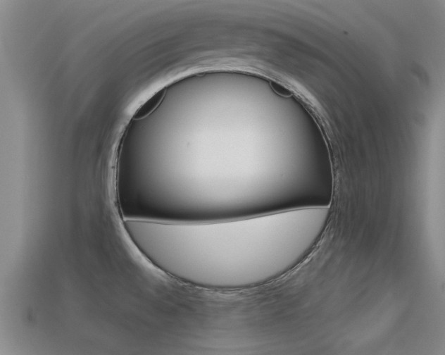 X0000113301528200909140935